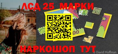 индика Донецк