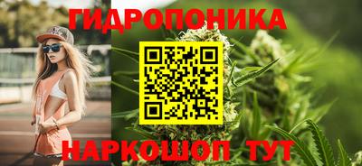 индика Донецк