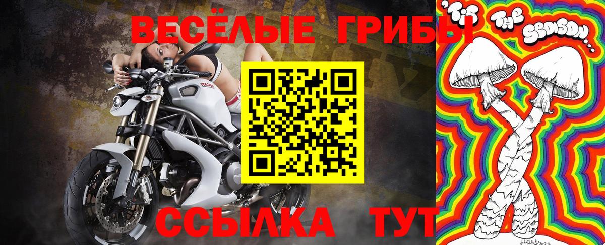 Галлюциногенные грибы Cubensis Лесозаводск